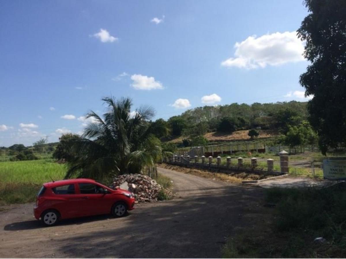 Studio in Tijuana, Mexico, Nr. 153684