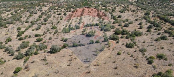 34640m² Land in Sao Bartolomeu de Messines, Portugal No. 35995 11