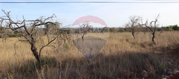 34640m² Land in Sao Bartolomeu de Messines, Portugal No. 35995 2