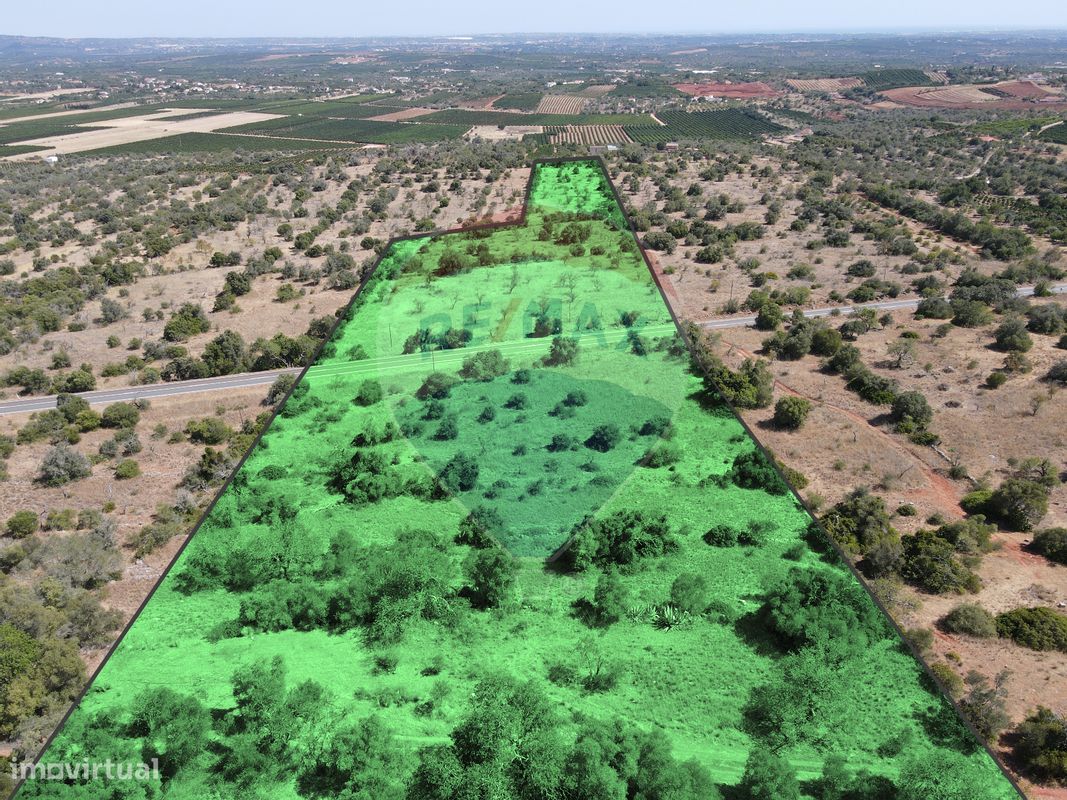 34640m² Land in Sao Bartolomeu de Messines, Portugal No. 35995