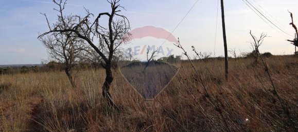 34640m² Land in Sao Bartolomeu de Messines, Portugal No. 35995 6