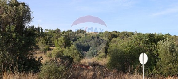 34640m² Land in Sao Bartolomeu de Messines, Portugal No. 35995 5