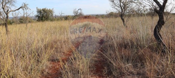 34640m² Land in Sao Bartolomeu de Messines, Portugal No. 35995 7