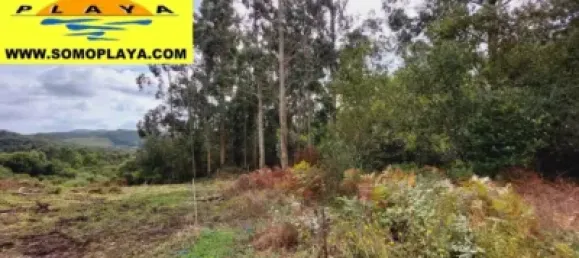 Grundstück in Cantabria, Spain, Nr. 182624 3