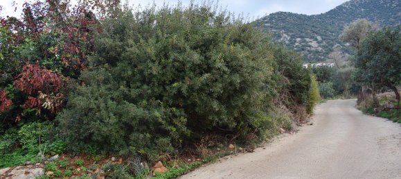 10000m² Hotel in Rethymno, Greece No. 5380 8