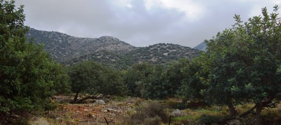 10000m² Hotel in Rethymno, Greece No. 5380 3