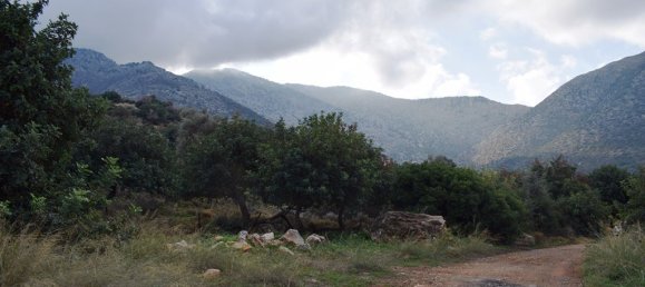 10000m² Hotel in Rethymno, Greece No. 5380 7