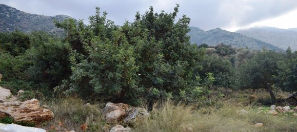 10000m² Hotel in Rethymno, Greece No. 5380 6