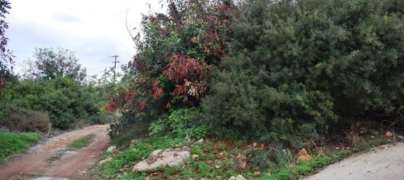 10000m² Hotel in Rethymno, Greece No. 5380 9