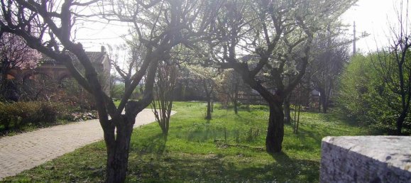 7-Zimmer Villa in Roncoferraro, Italy, Nr. 246033 8