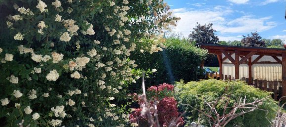 4غرفة منزل في Maria Anzbach, Austria رقم 152950 26