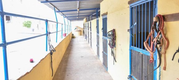 6 bedrooms House in Mijas, Spain No. 85546 10