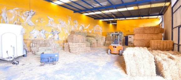 6 bedrooms House in Mijas, Spain No. 85546 38