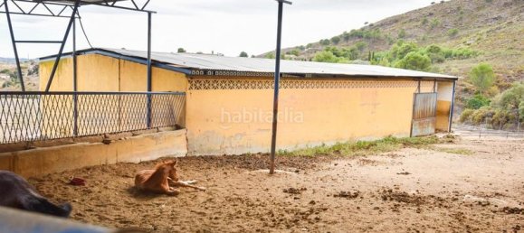 6 bedrooms House in Mijas, Spain No. 85546 13