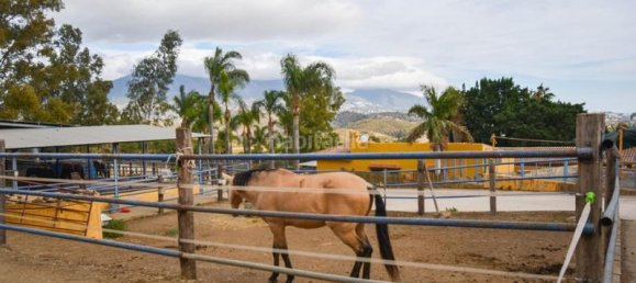 6 bedrooms House in Mijas, Spain No. 85546 8