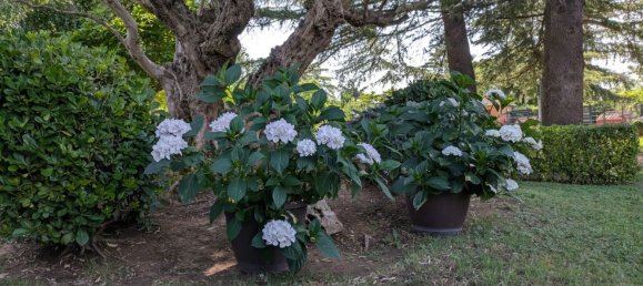 5 bedrooms House in La Rioja, Spain No. 163938 19