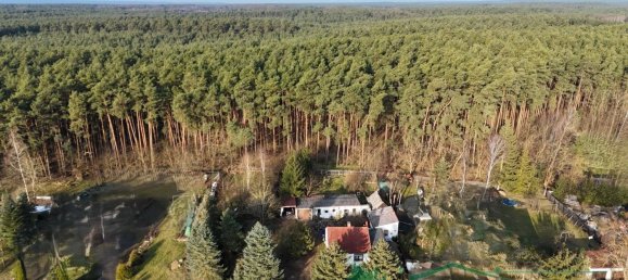 2-Zimmer Haus in Dahme-Spreewald, Germany, Nr. 83818 3