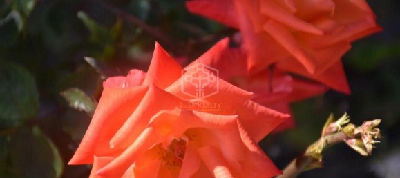 4 bedrooms House in Vilaflor, Spain No. 29764 26