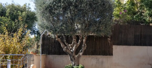 4 Schlafzimmer Villa in Mallorca, Spain, Nr. 266393 11