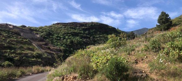 Земельный участок в Гуимар, Испания № 157779 16