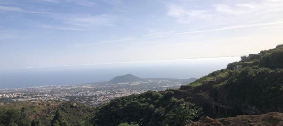 Земельный участок в Гуимар, Испания № 157779 8