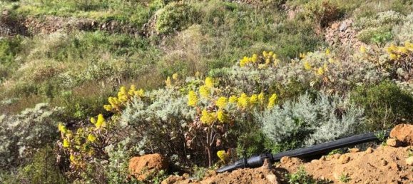 Земельный участок в Гуимар, Испания № 157779 5