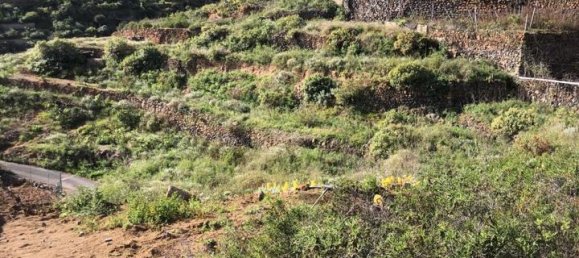 Земельный участок в Гуимар, Испания № 157779 7