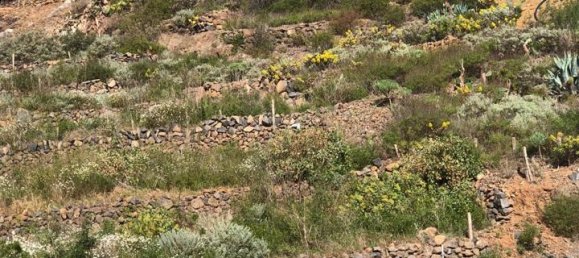 Земельный участок в Гуимар, Испания № 157779 11