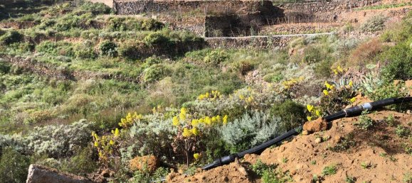 Земельный участок в Гуимар, Испания № 157779 2