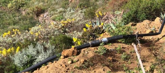 Земельный участок в Гуимар, Испания № 157779 3