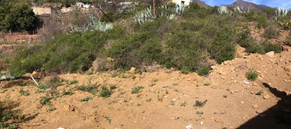 Земельный участок в Гуимар, Испания № 157779 4