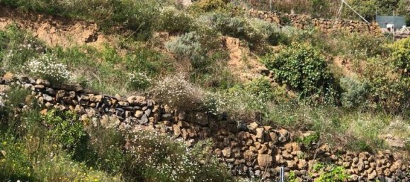 Земельный участок в Гуимар, Испания № 157779 12