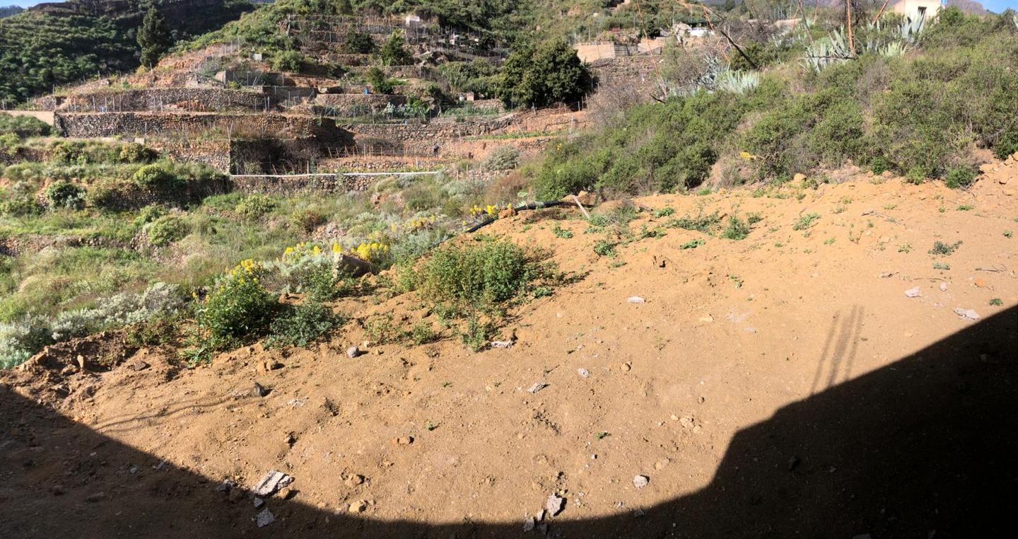 Земельный участок в Гуимар, Испания № 157779