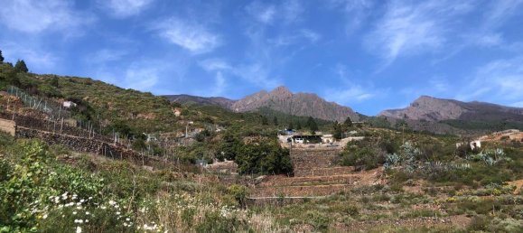 Земельный участок в Гуимар, Испания № 157779 15