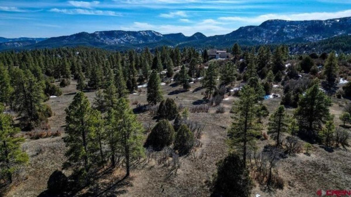  Land in Pagosa Springs, USA No. 506654
