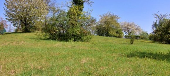  Land in Santa Maria della Versa, Italy No. 178064 3