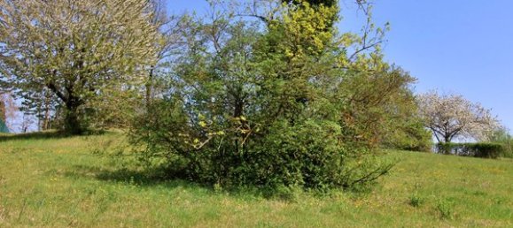  Land in Santa Maria della Versa, Italy No. 178064 5