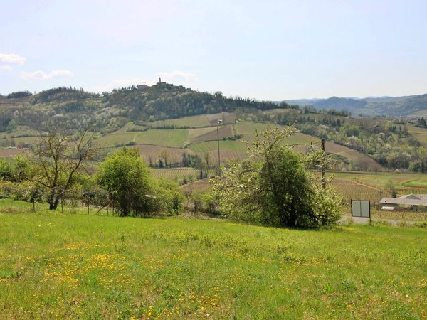  Land in Santa Maria della Versa, Italy No. 178064