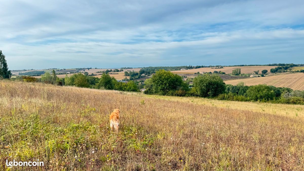 Земельный участок 1000м² в Монтжуар, Франция № 335973