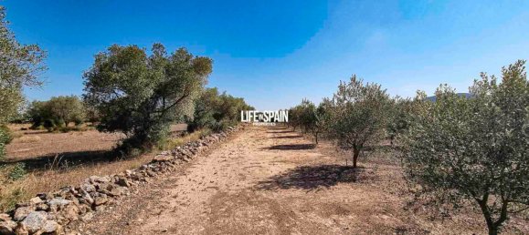 1 Schlafzimmer Haus in Tarragona, Spain, Nr. 175885 16