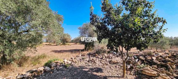 1 Schlafzimmer Haus in Tarragona, Spain, Nr. 175885 13