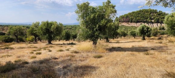 Hôtel à Polygyros, Greece 37500m² No. 2718 10