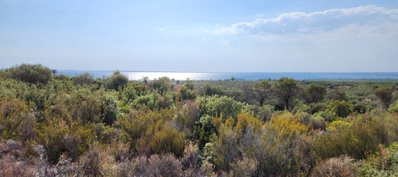 Hôtel à Polygyros, Greece 37500m² No. 2718 7