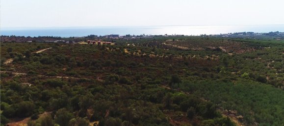 Hôtel à Polygyros, Greece 37500m² No. 2718 17