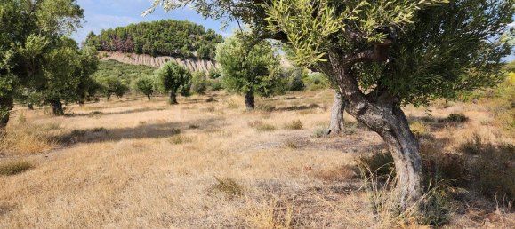 Hôtel à Polygyros, Greece 37500m² No. 2718 11