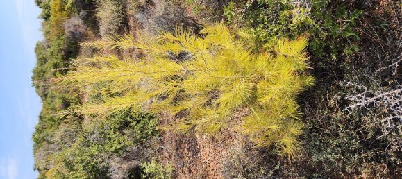 Hôtel à Polygyros, Greece 37500m² No. 2718 8