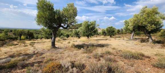 Hôtel à Polygyros, Greece 37500m² No. 2718 13