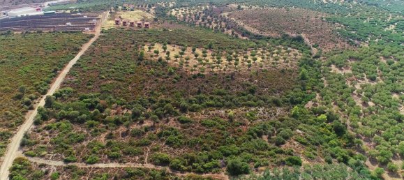 Hôtel à Polygyros, Greece 37500m² No. 2718 16