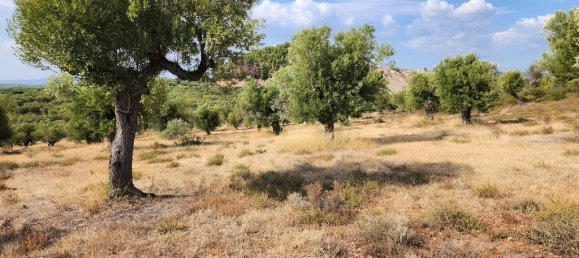 Hôtel à Polygyros, Greece 37500m² No. 2718 12