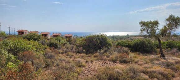 Hôtel à Polygyros, Greece 37500m² No. 2718 9